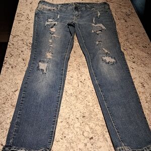Amethyst Distressed Skinny Jeans